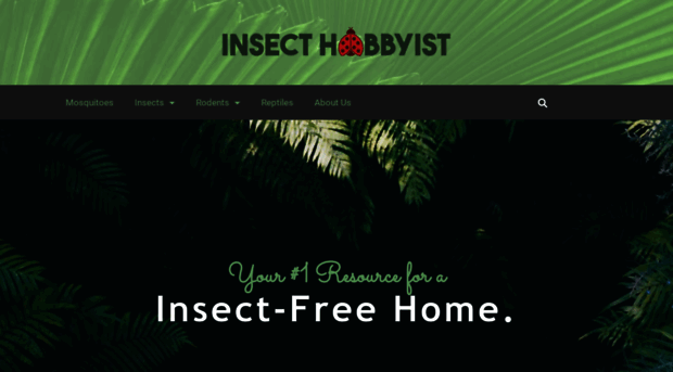 insecthobbyist.com