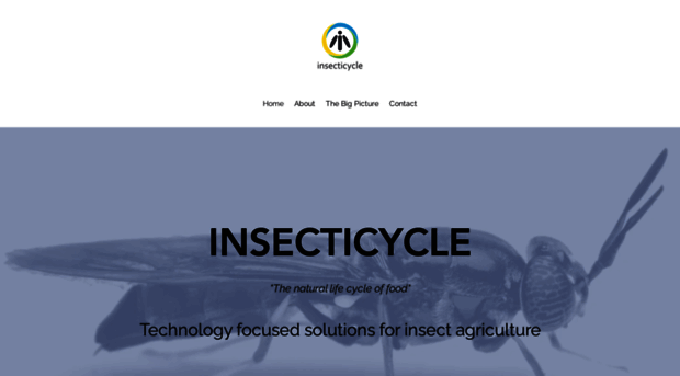 insecticycle.com