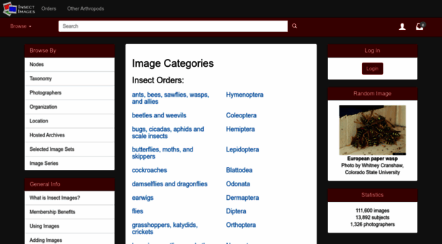 insectimages.org