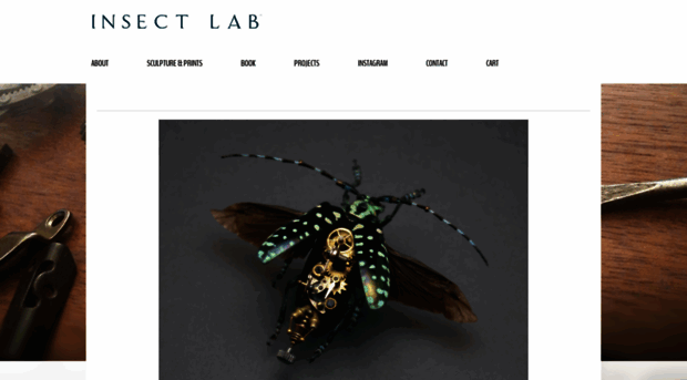 insectlabstudio.com