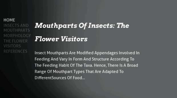 insectmouthparts.weebly.com