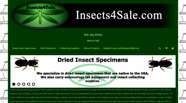 insects4sale.americommerce.com