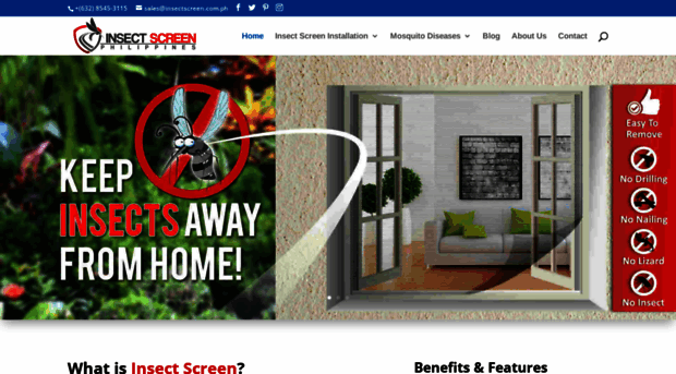 insectscreen.com.ph