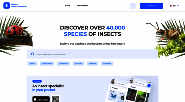 insectsid.com