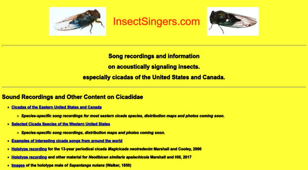 insectsingers.com