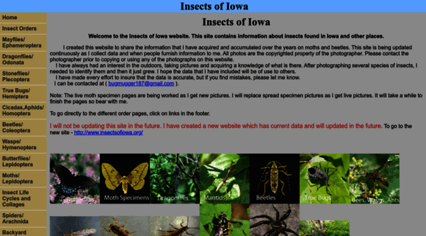 insectsofiowa.com