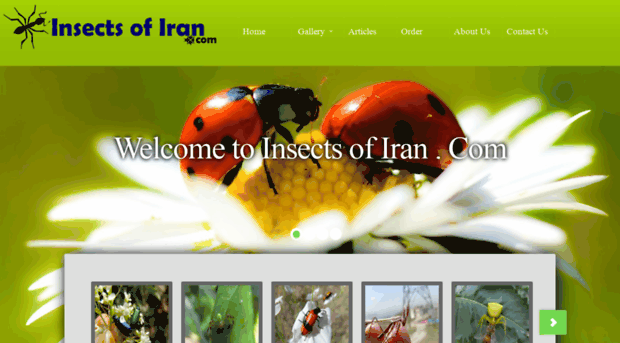 insectsofiran.com