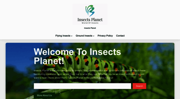 insectsplanet.com