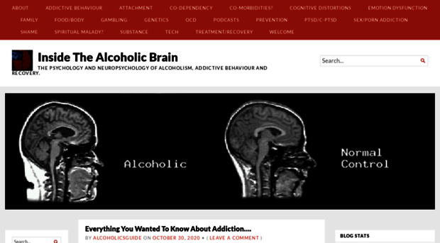 insidethealcoholicbrain.com