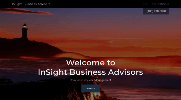 insightbizadvisors.com