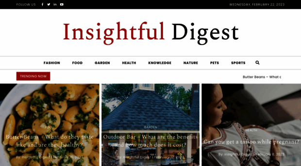 insightfuldigest.com