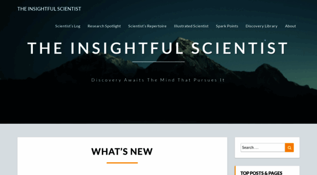 insightfulscientist.com