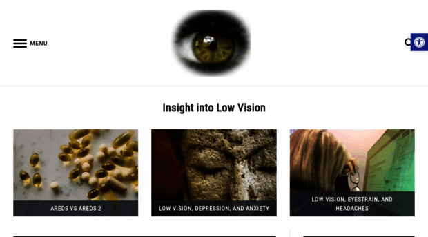 insightintolowvision.com