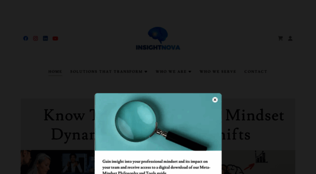 insightnova.com