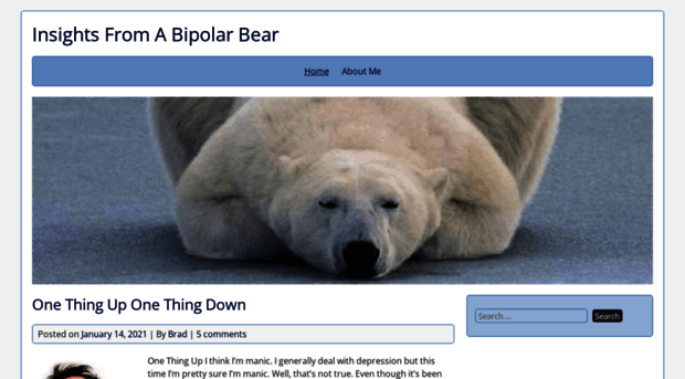 insightsbipolarbear.com