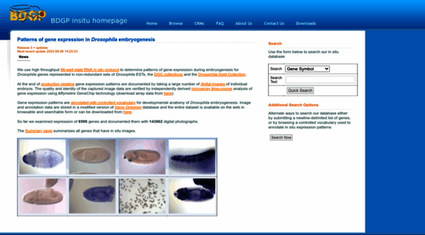 insitu.fruitfly.org