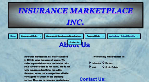 insmarketplaceinc.com