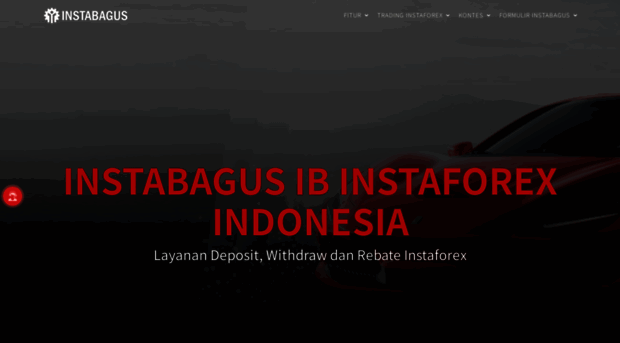 instabagus.net