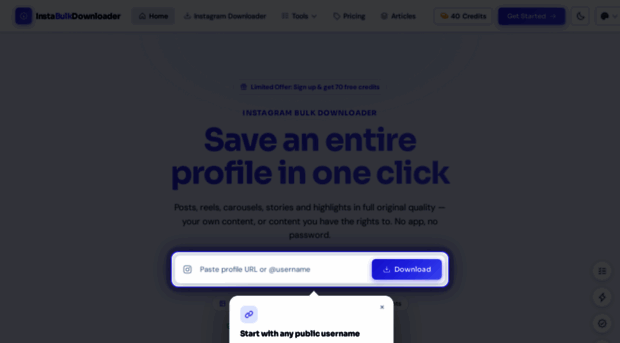 instabulkdownloader.com