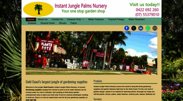 instantjunglepalms.com.au