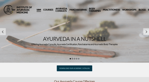 institute4ayurveda.com