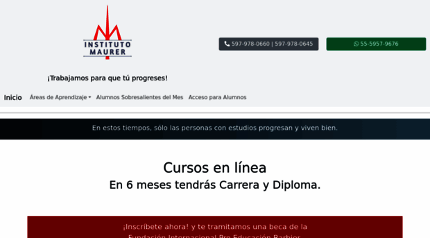institutomaurer.com.mx