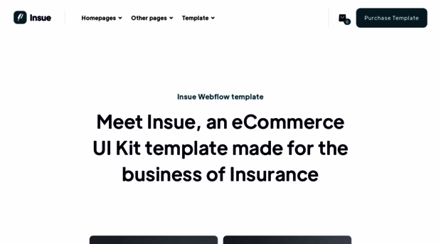 insue-template.webflow.io