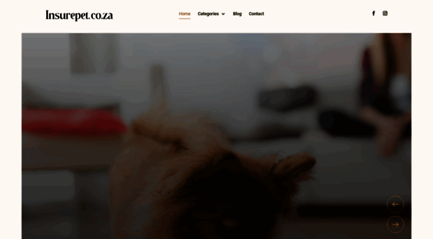 insurepet.co.za
