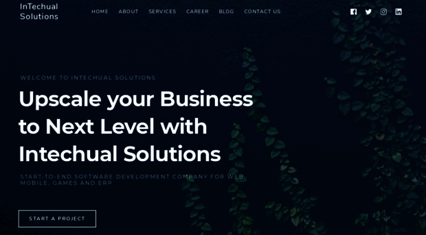 intechualsolutions.com