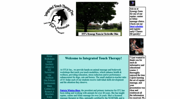 integratedtouchtherapy.com