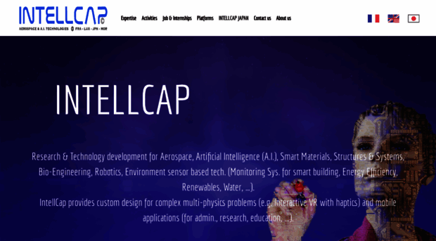 intellcap.org