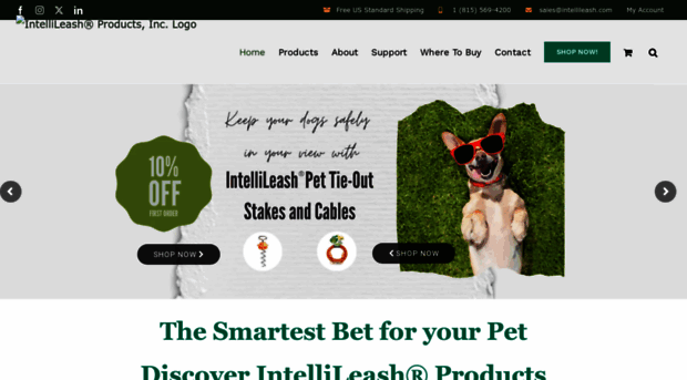 intellileashproducts.com