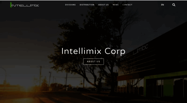 intellimix.com