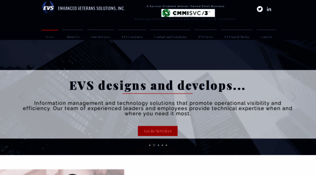intellisolutions-inc.com