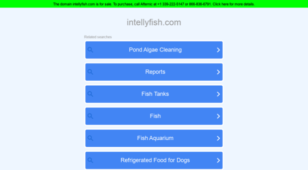 intellyfish.com