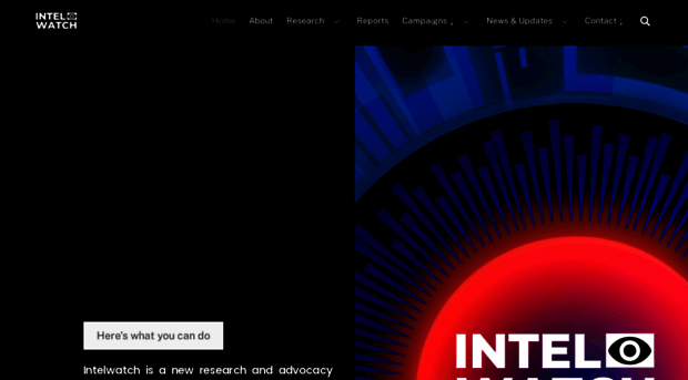 intelwatch.org.za