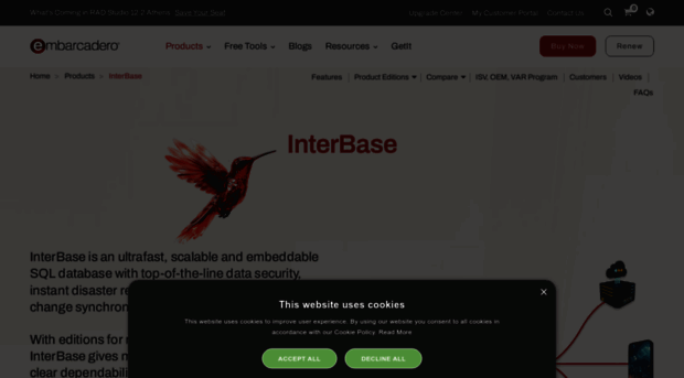 interbase.com