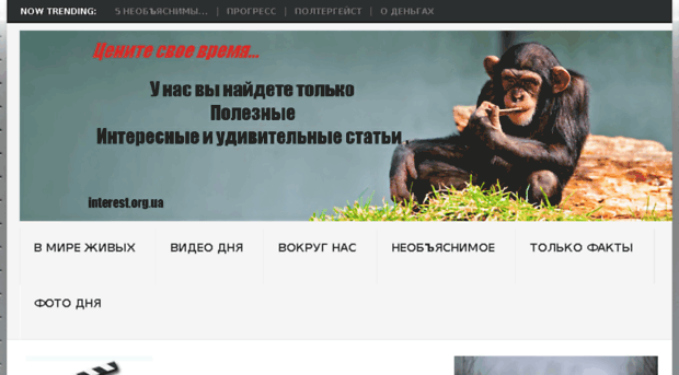 interest.org.ua
