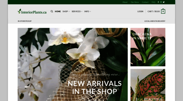 interiorplants.ca