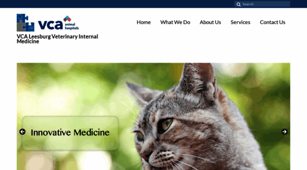 internalmedicinevets.com