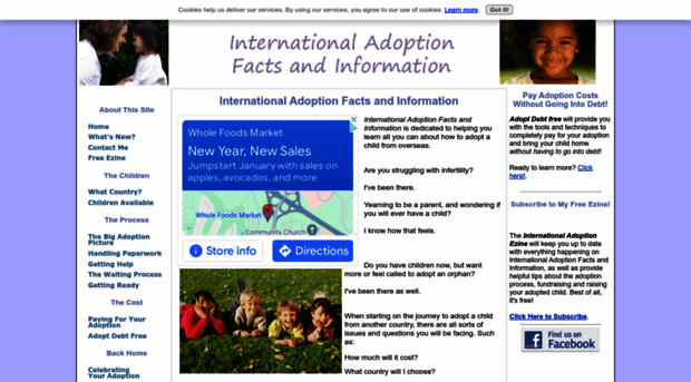 international-adoption-facts-and-information.com