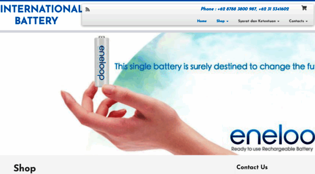 international-battery.net