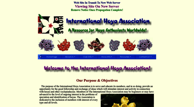 international-hoya.org