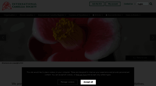 internationalcamellia.org