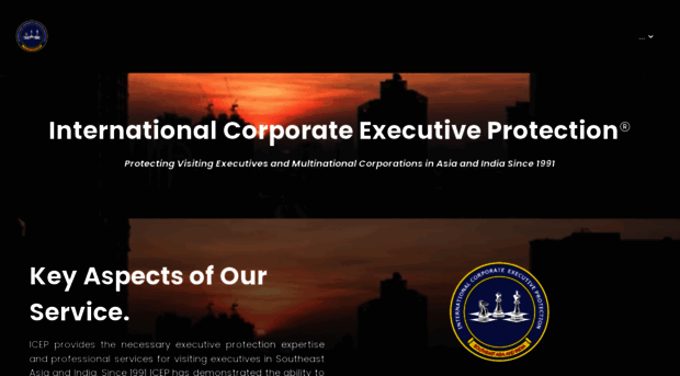 internationalcorporateexecutiveprotection.net