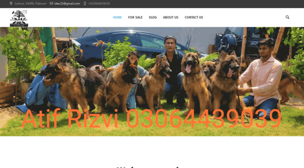 internationaldogsandwildlifeclub.com