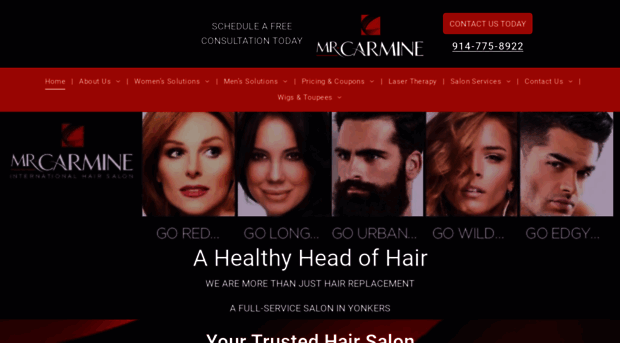 internationalhairsalon.com