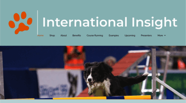 internationalinsight.co.uk