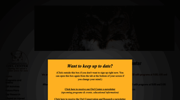 internationalowlcenter.org