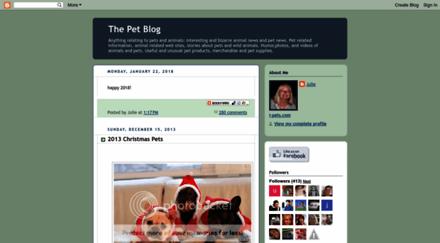 internet-pets.blogspot.com.tr